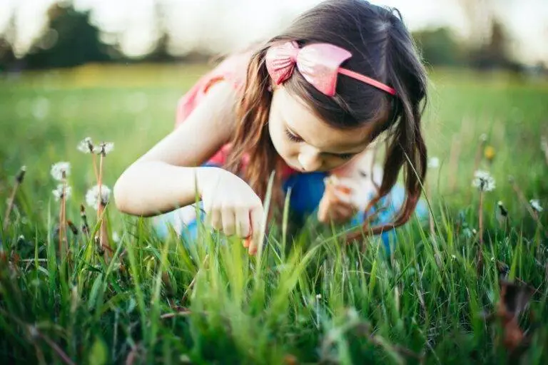 Child investigating in grassy field. On the go inquiry-based earning